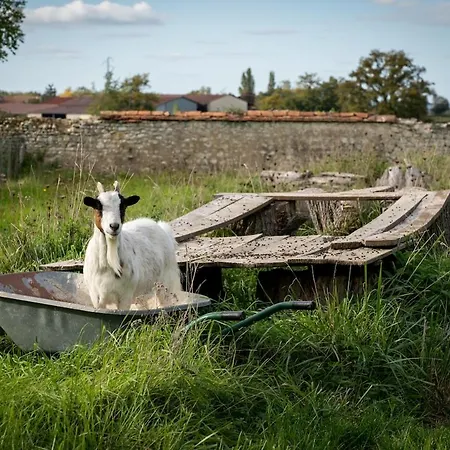 La Ferme *